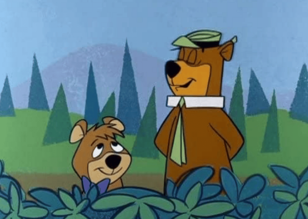 'Smarter than your average bear.'