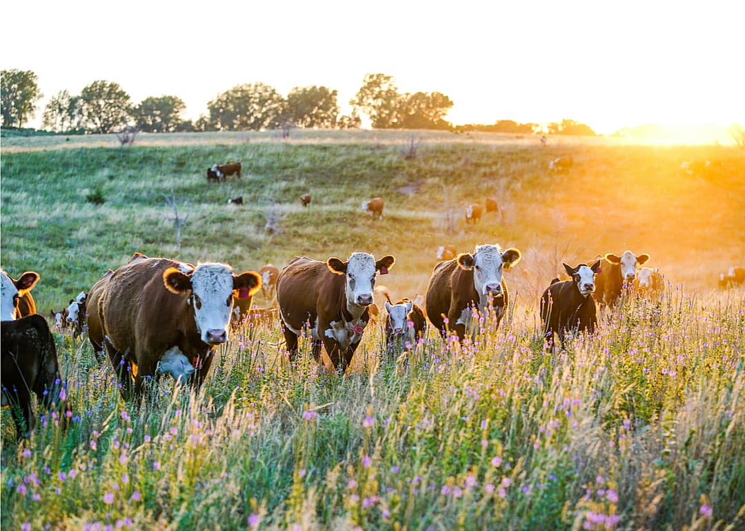 Nebraska