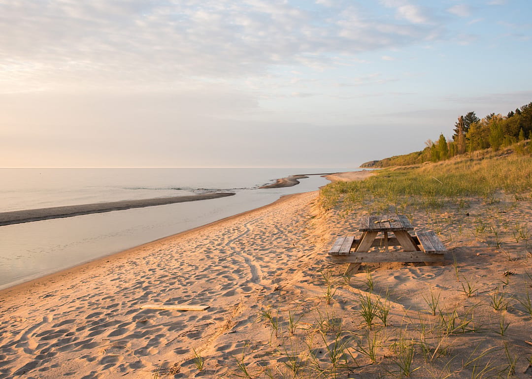 #44. Bridgman, Michigan