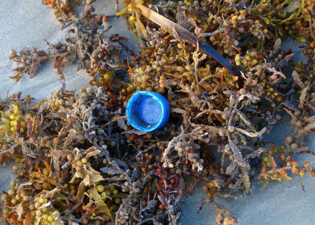 #4. Plastic bottle caps
