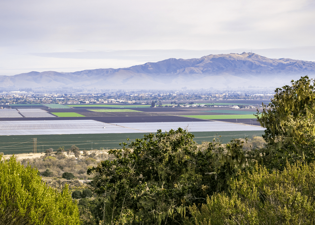 #15. Salinas, California