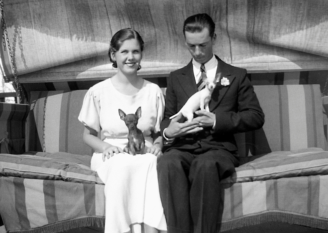 1904: An ancient breed receives modern validation
