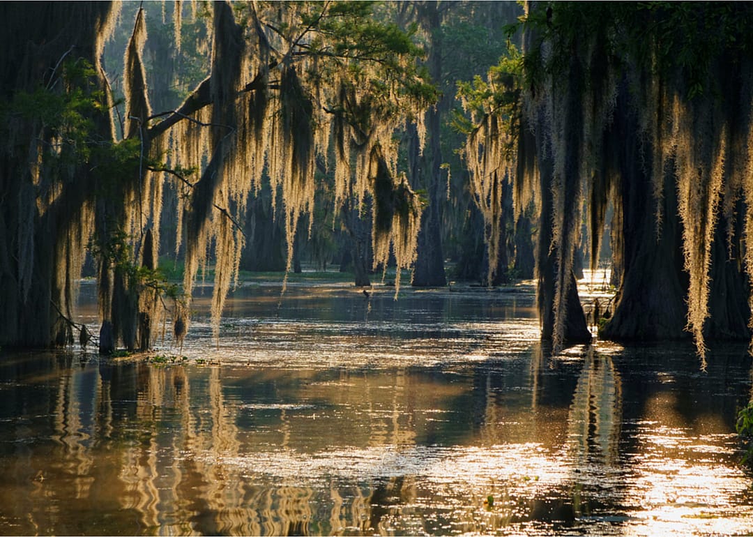 #28. Louisiana
