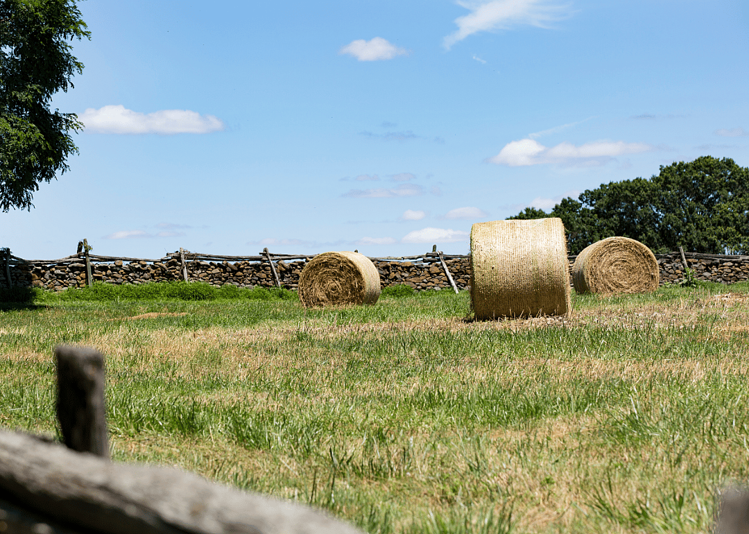 #34. Fauquier County