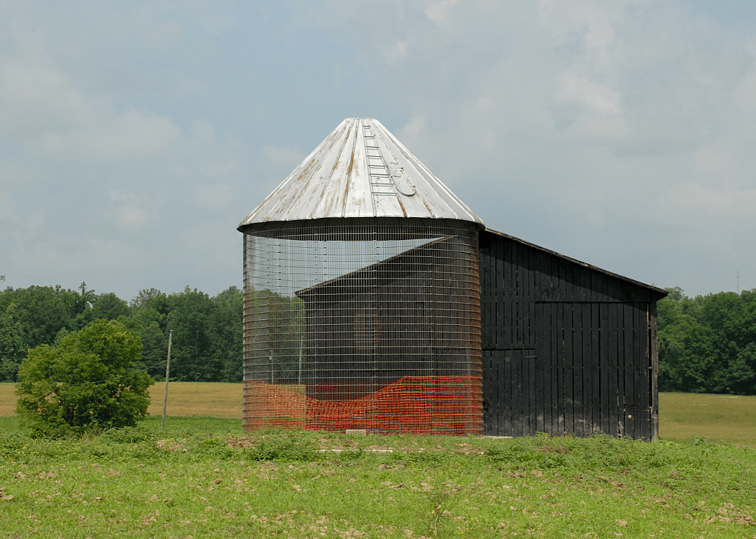 #39. Hart County (tie)