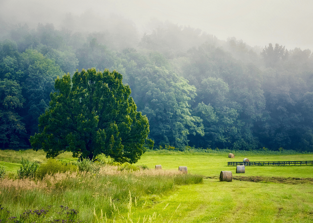 #50. Madison County