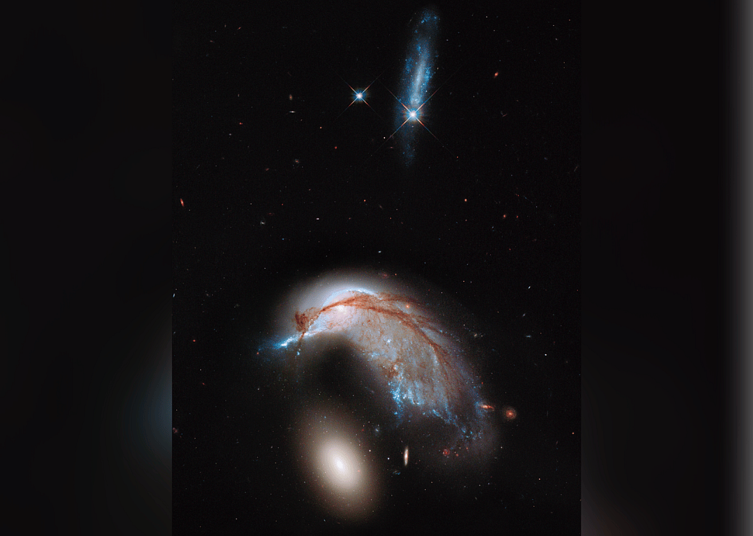 A Cosmic Penguin (2013)