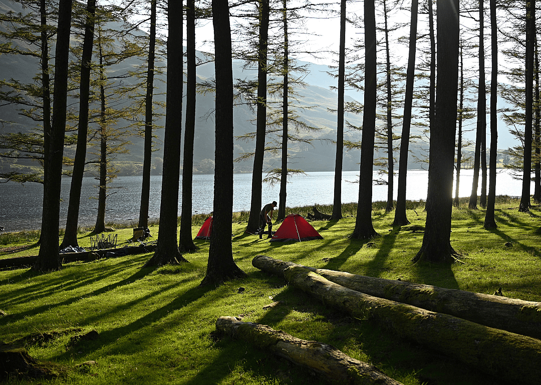 Staycations rise in popularity