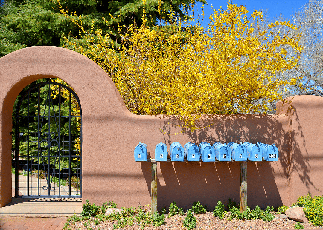 New Mexico