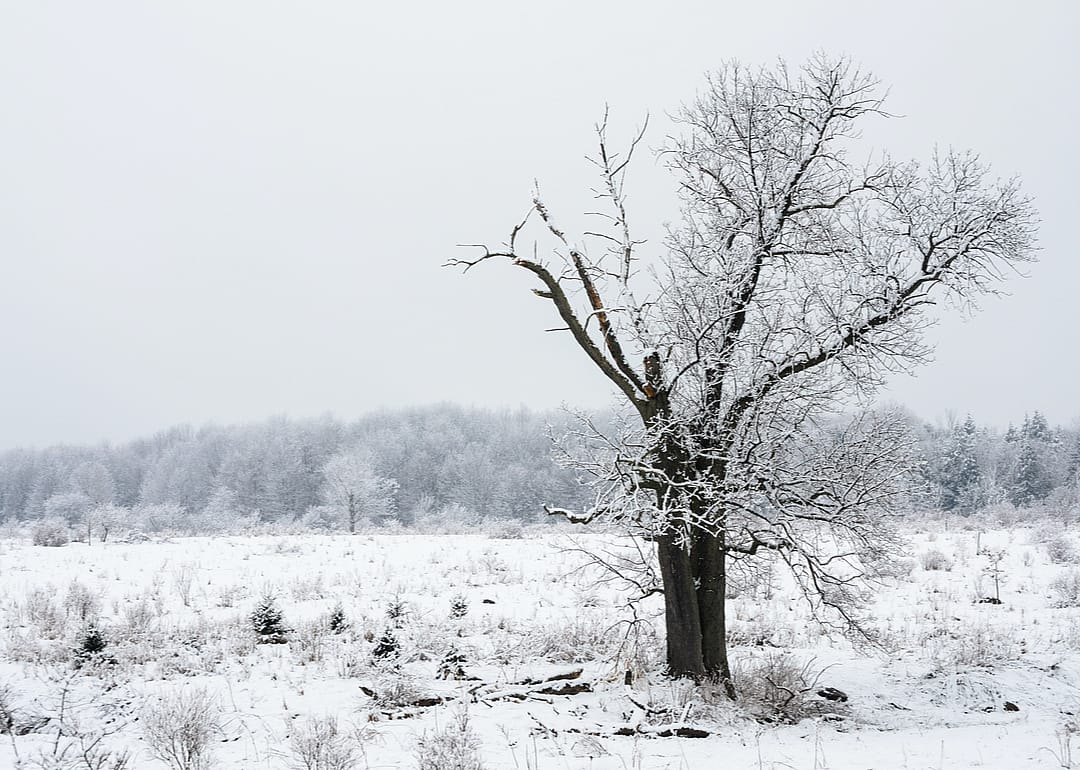 New York: Chautauqua County
