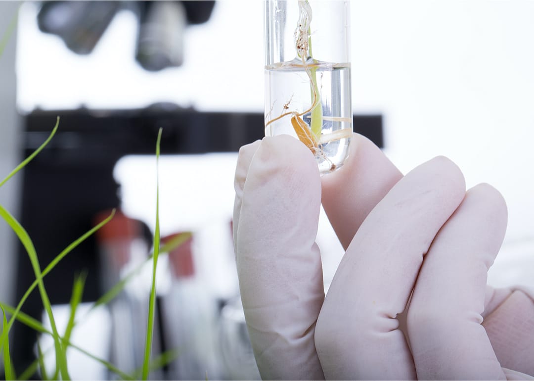 #25. Bioengineers and biomedical engineers