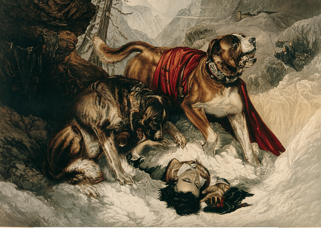 1930s: Dogs become mountain rescuers