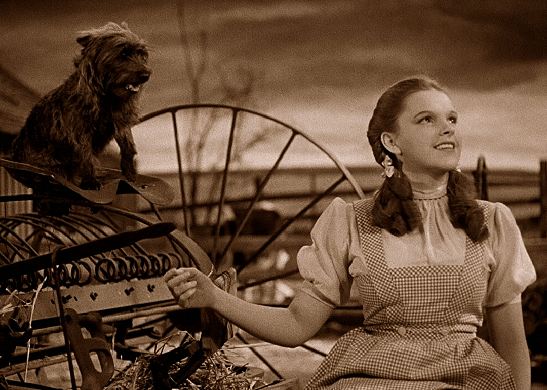 1939: Toto leaves Kansas
