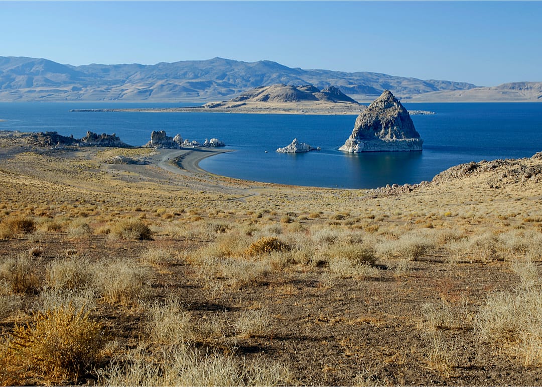 #19. Nevada