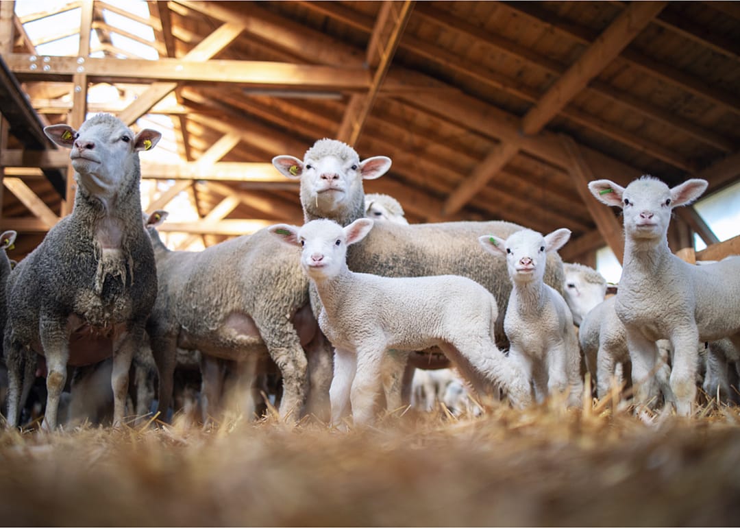Contracts mitigate risk for American farmers