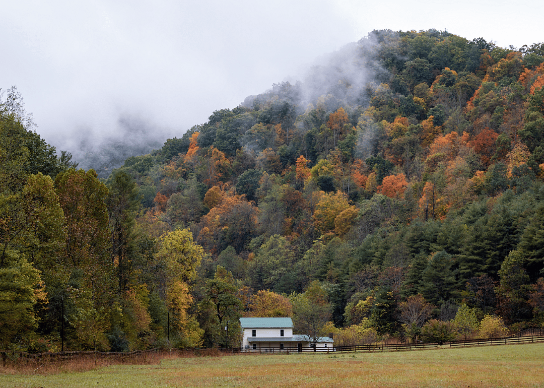#6. Buchanan County