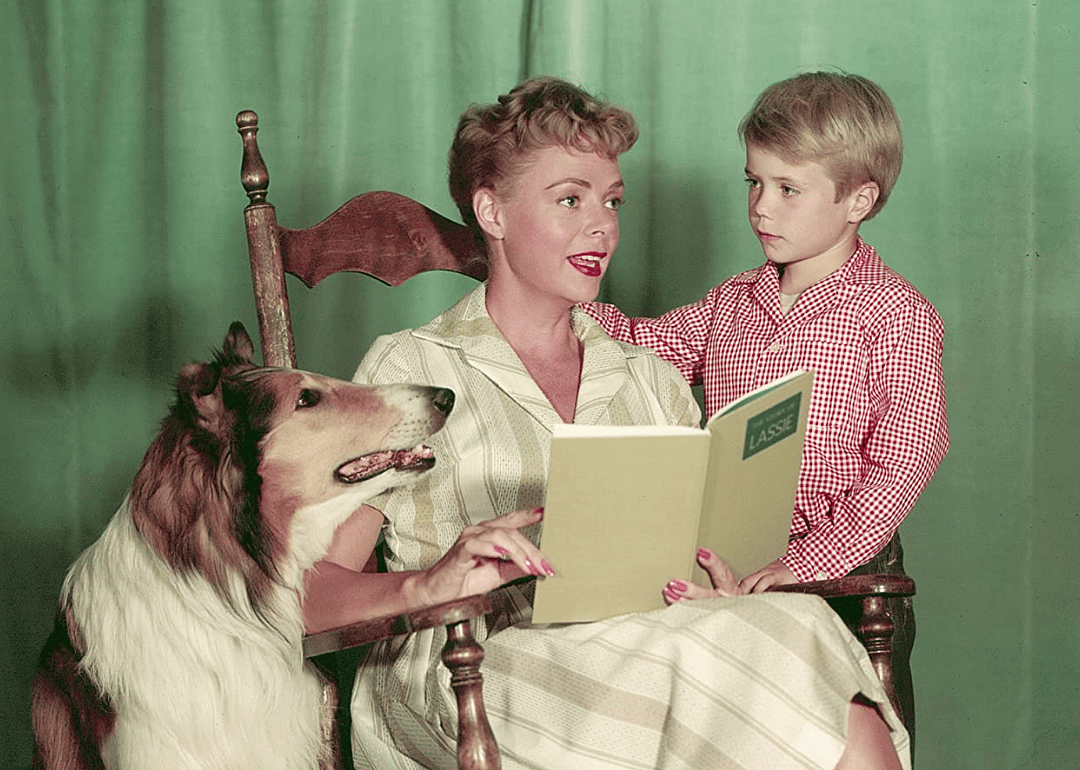 1954: Lassie begins its 20-year run