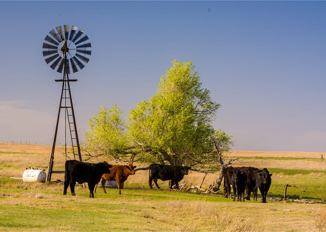 Oklahoma