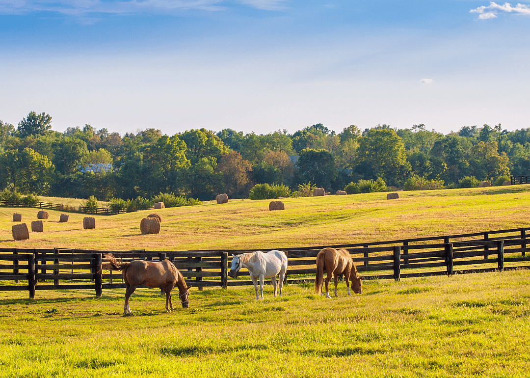 #49. Goochland County