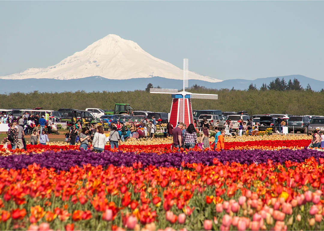 Oregon