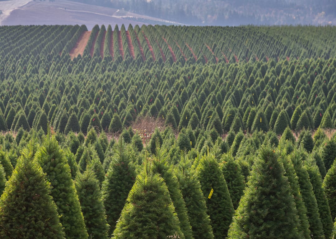 Oregon