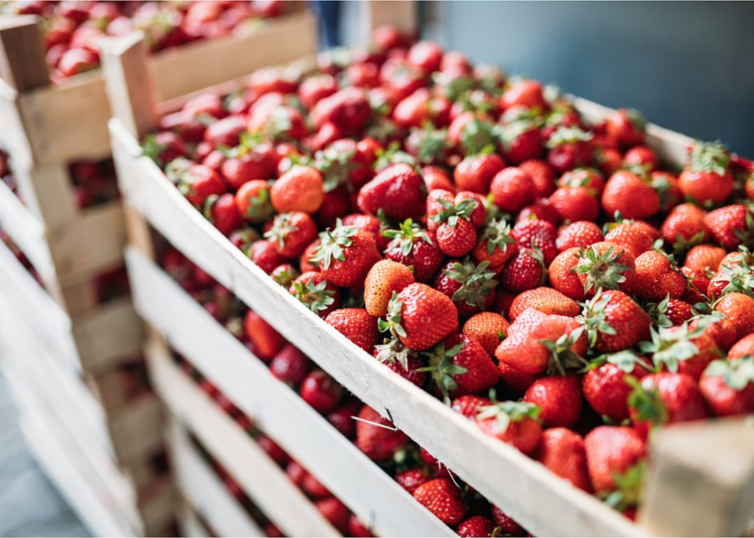 1.12 million tons of strawberries were grown in 2019