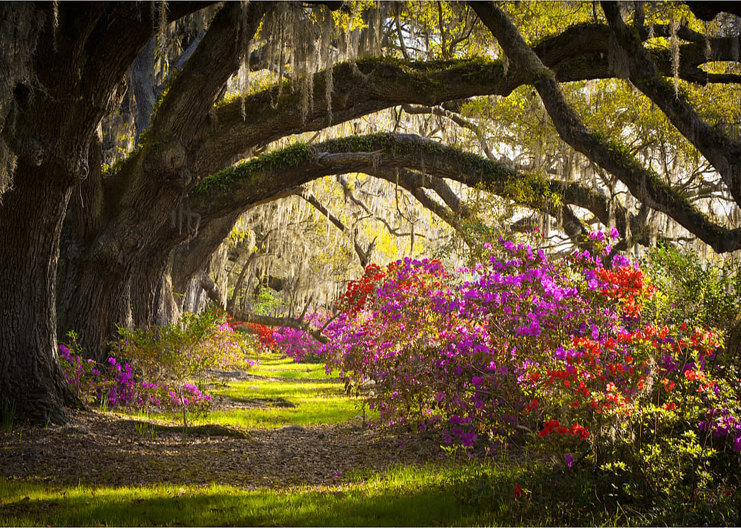 South Carolina