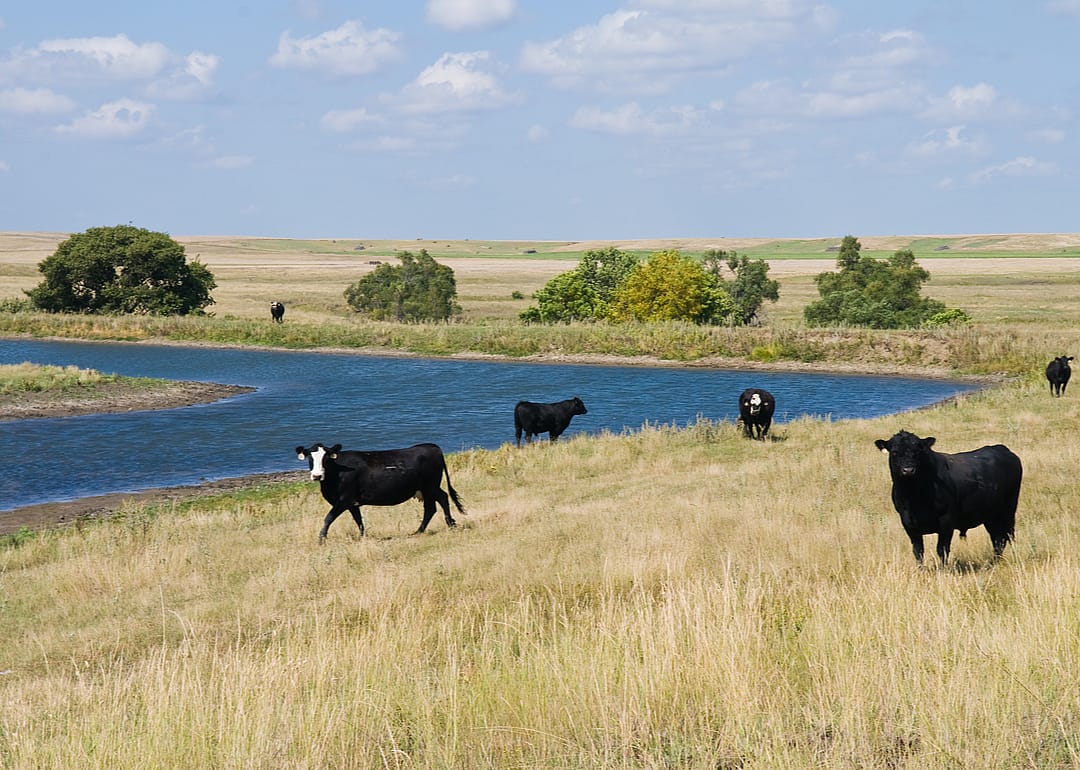 South Dakota