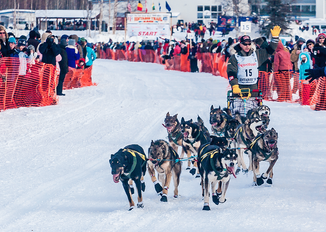 1973: The world's most famous dog race begins