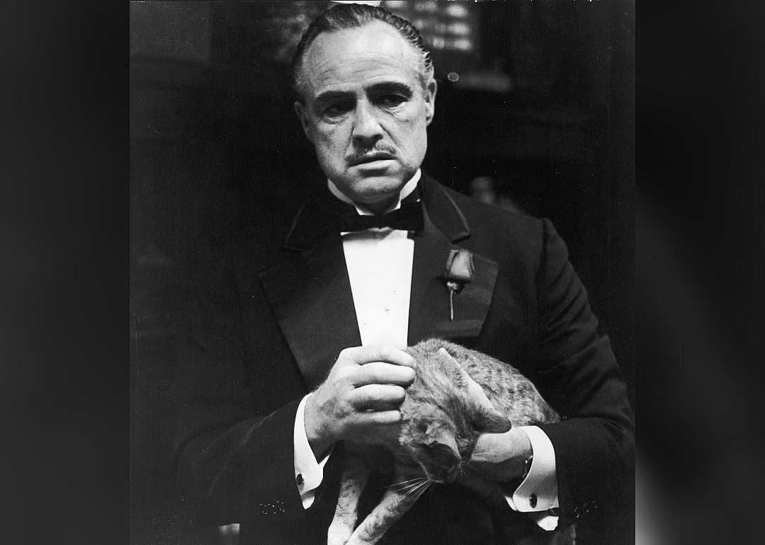 What's up with the cat in the opening scene of 'The Godfather'?