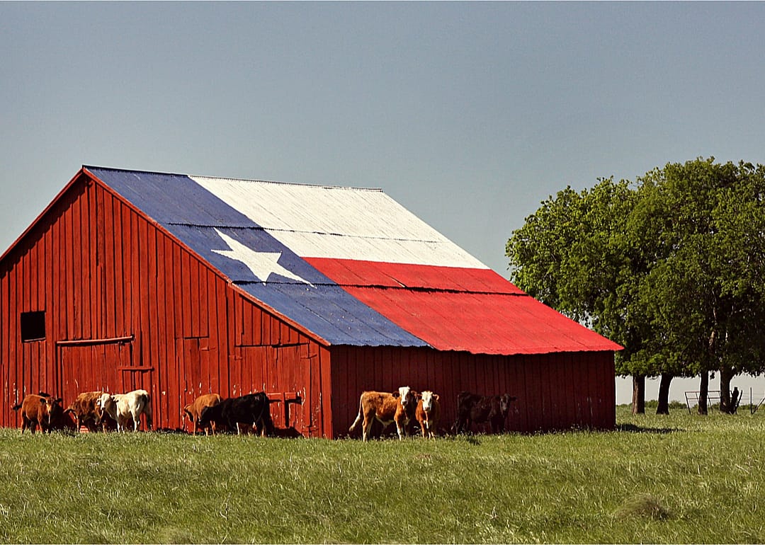 Texas has the most farms in the US