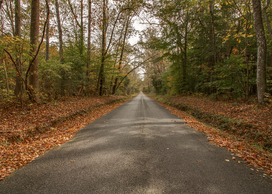 #13. Dickenson County