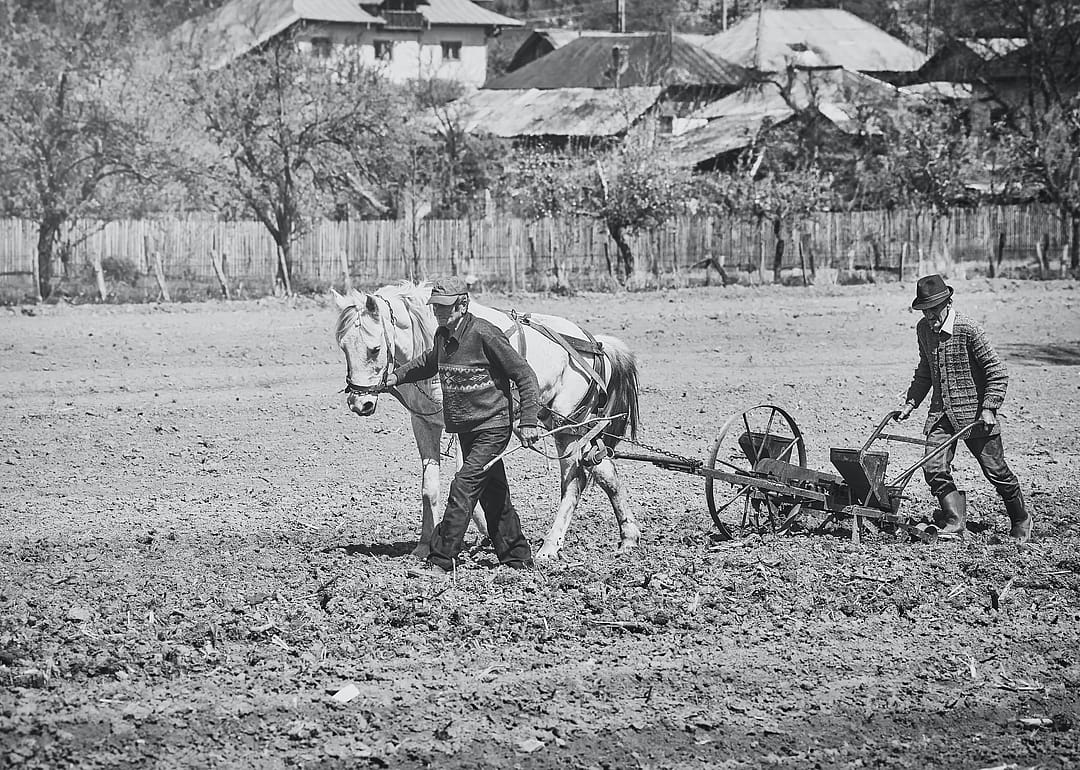 Jethro Tull's seed drill