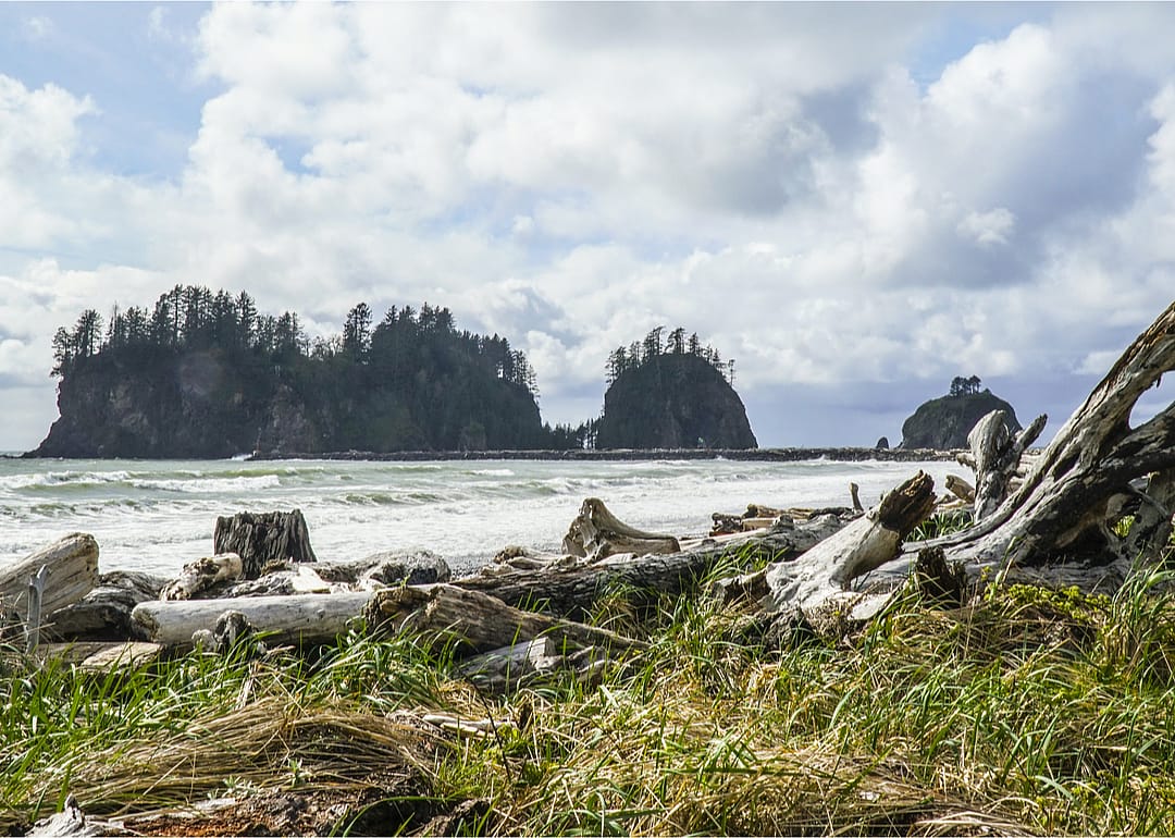 #8. Washington