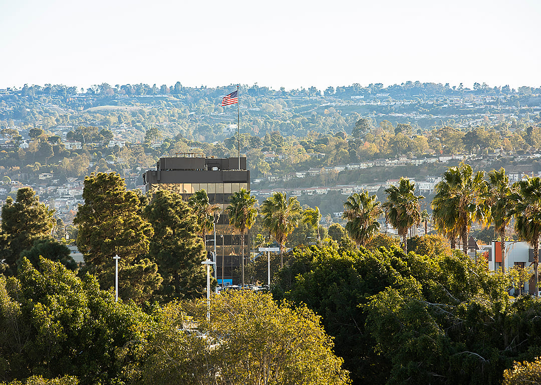 Palm framed view of the downtown skyline of Torrance.