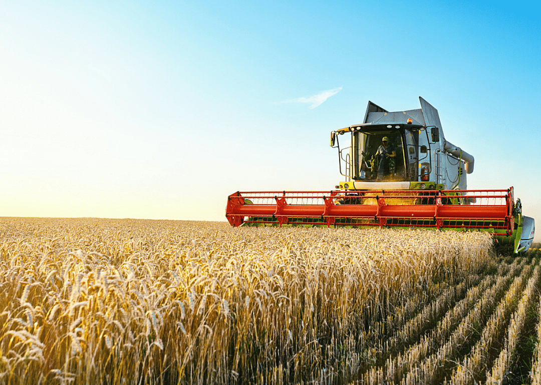 Agriculture jobs on the wane