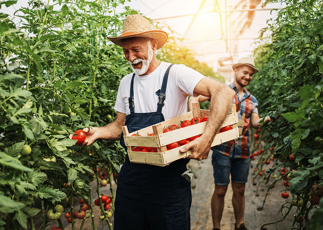 One in five companies is family owned