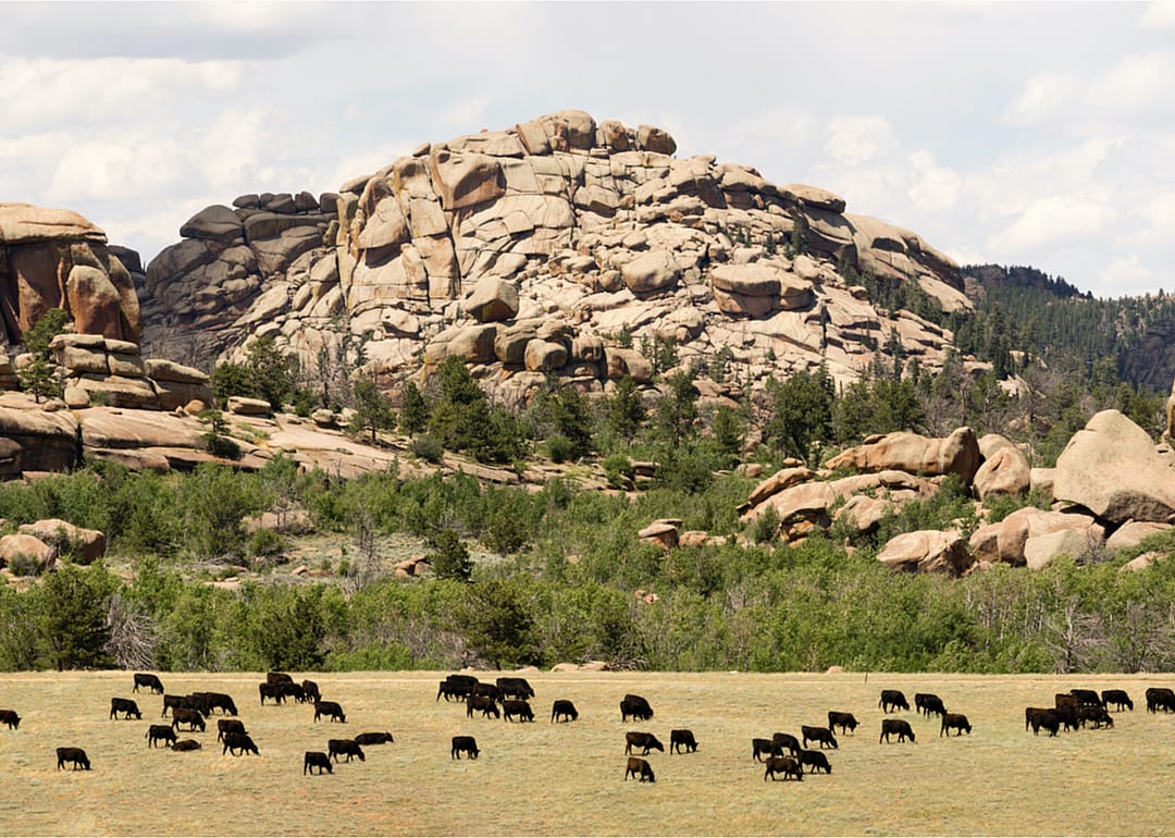 Wyoming