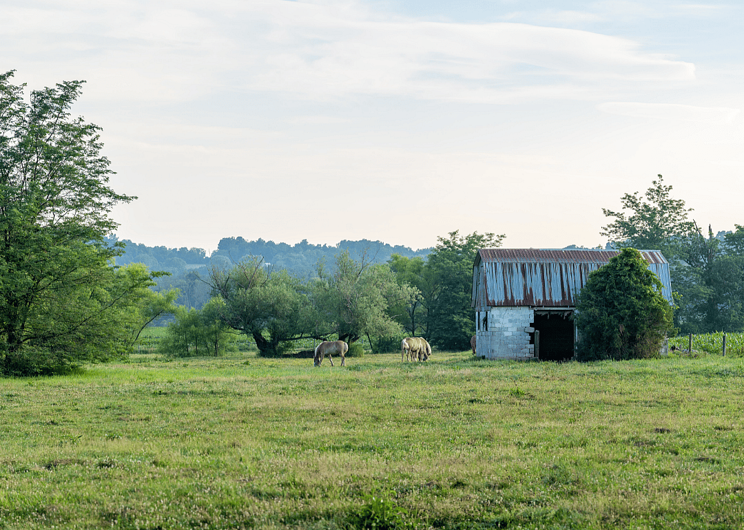 #47. Clinton County