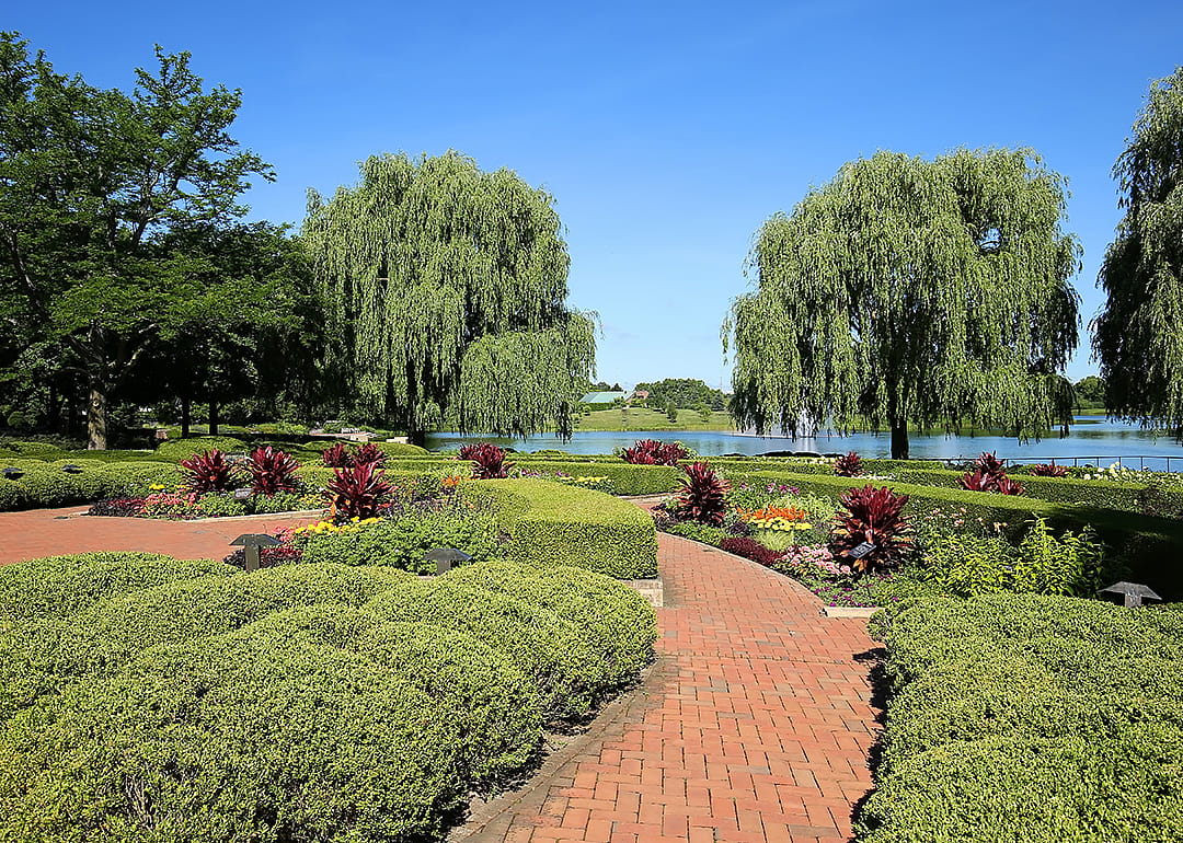 Chicago Botanical Gardens in summer.