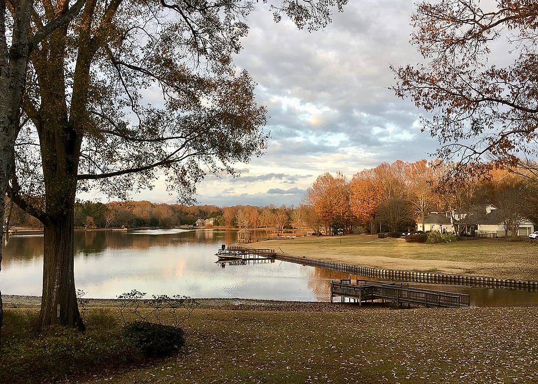 Autumn trees and lake in residential area.