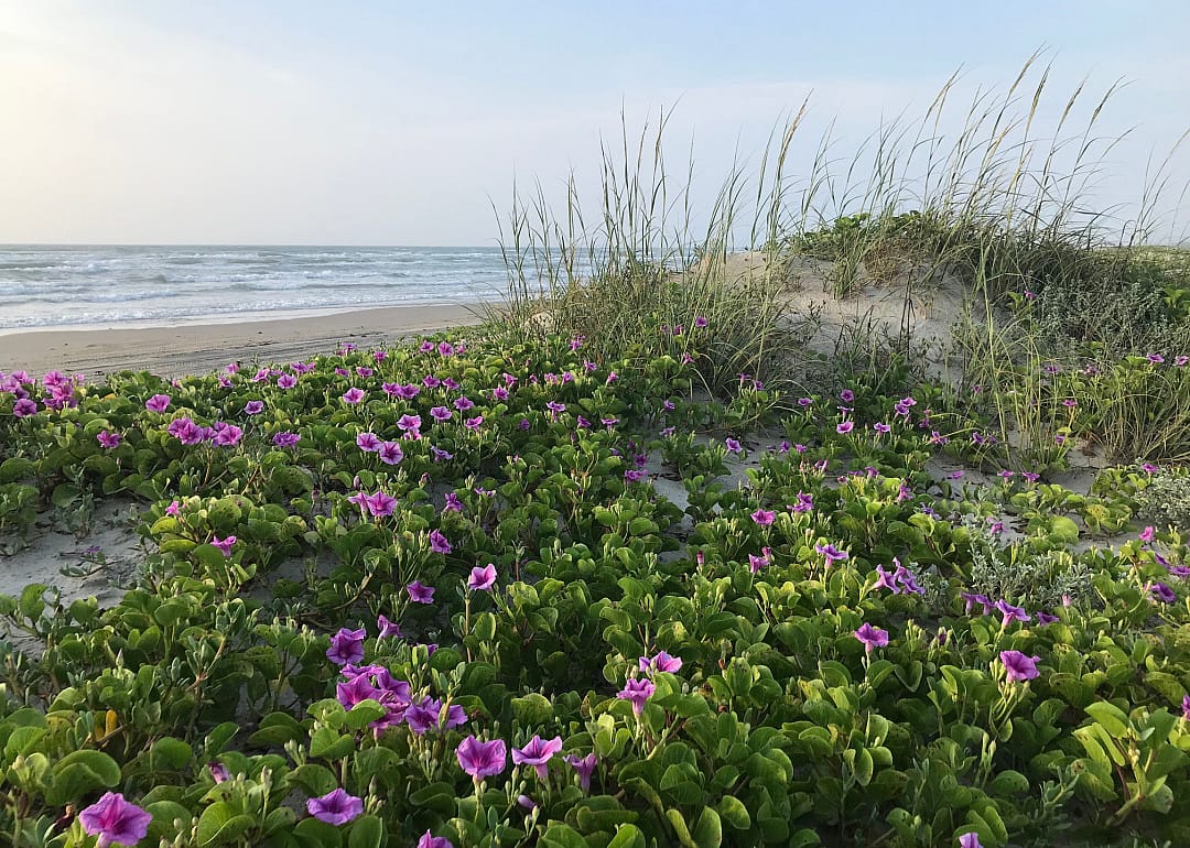 #36. Port Mansfield, Texas