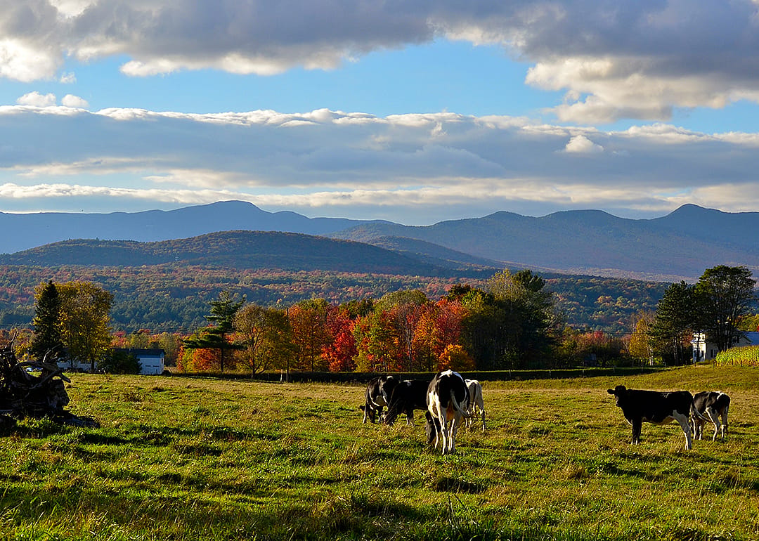 Scenic view in Chittenden County.