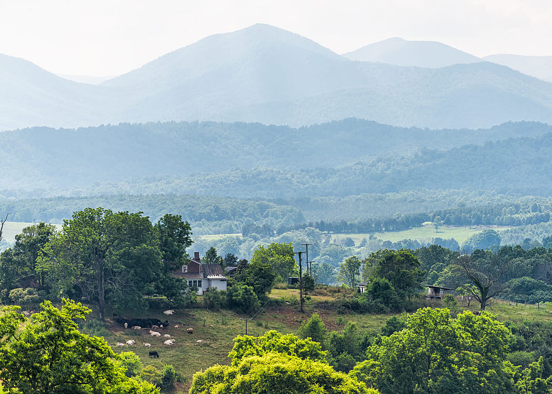 #41. Nelson County (tie)
