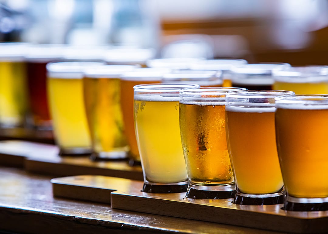 Flights of beer lined up for tastings.