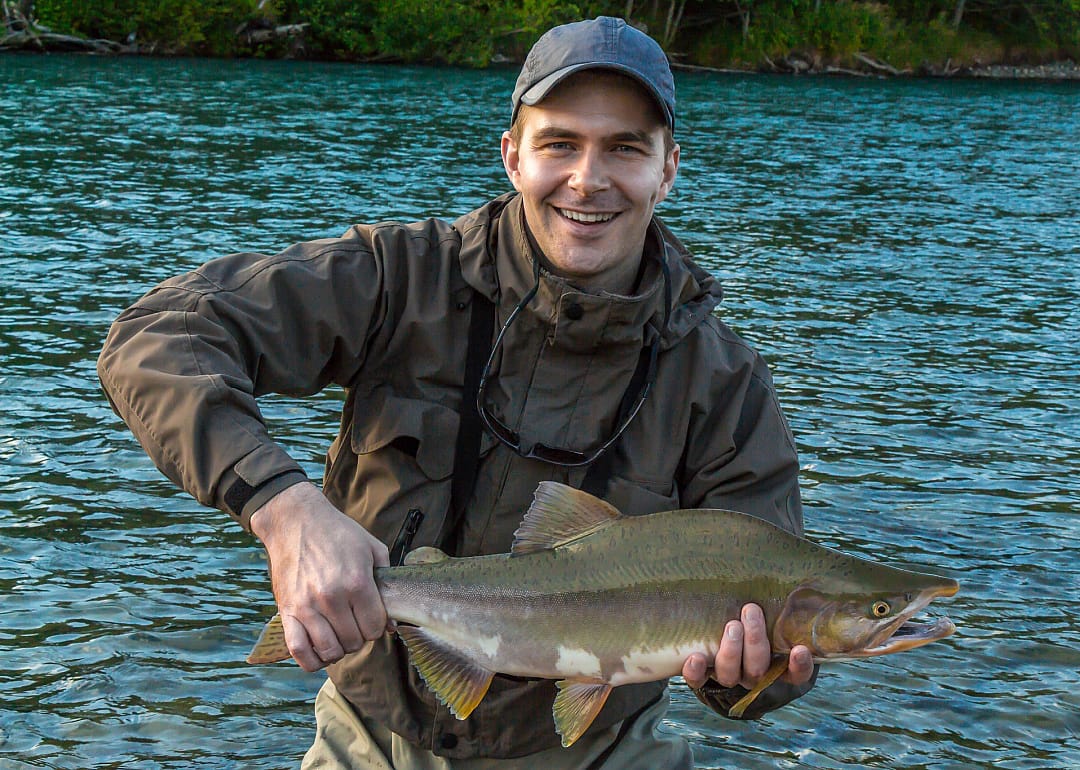 Pink (Humpback) Salmon