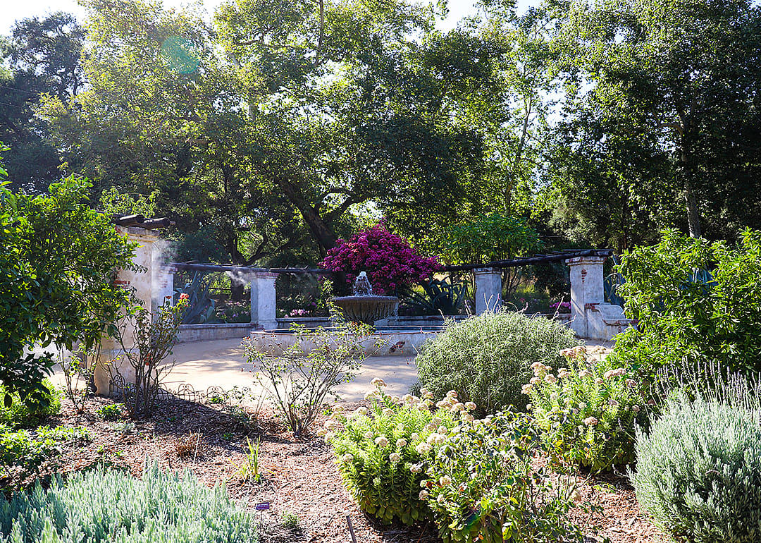 Trees, plants, flowers, and fountain at Descanso Gardens.