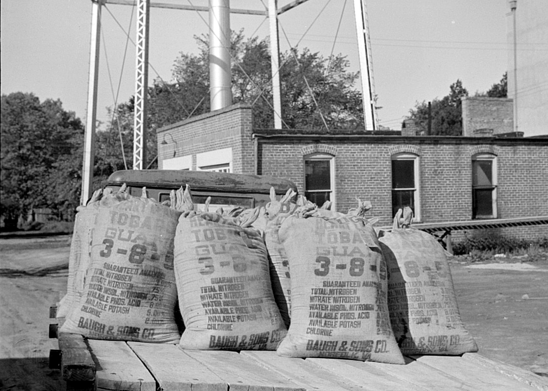 1918: Nitrogen synthetic fertilizers