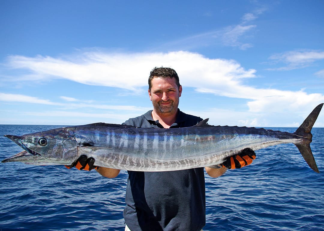 Wahoo