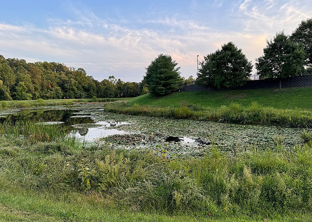 Lake and natural area in Fulton.